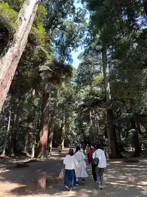 鹿島神宮(茨城県)