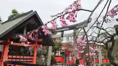 車折神社の建物その他