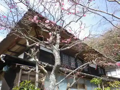 海蔵寺のその他建物