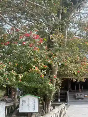 御勢大霊石神社 の自然