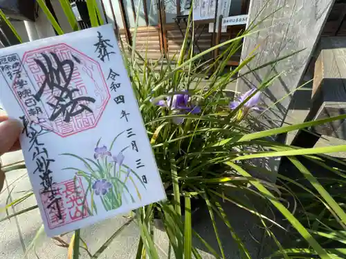 妙蓮寺の御朱印