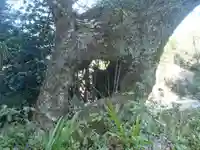 金泉寺(愛知県)