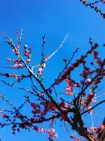 小淀東町会稲荷大明神(東京都)