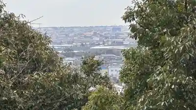 金刀比羅神社(徳島県)