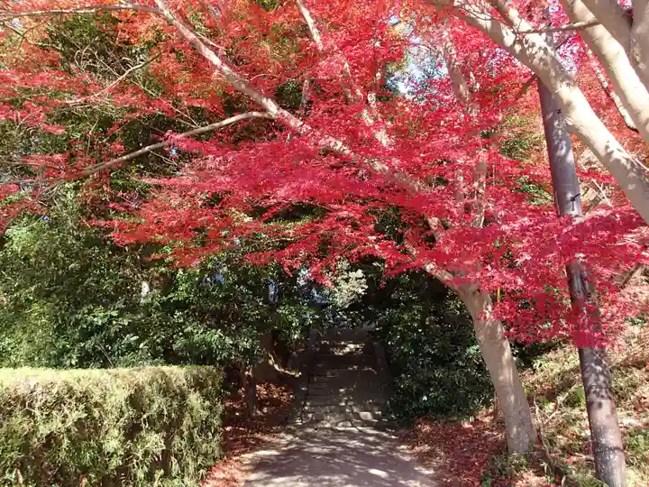 夜都伎神社の自然