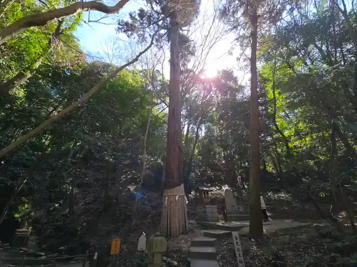 星田妙見宮(大阪府)
