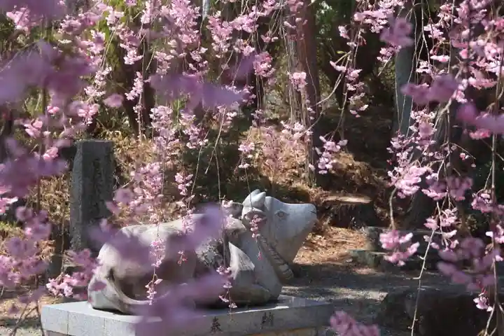 豊景神社の狛犬