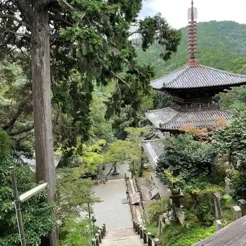 一乗寺のその他建物