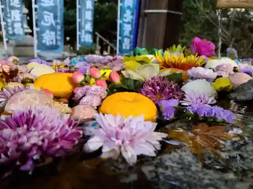 滑川神社 - 仕事と子どもの守り神の手水