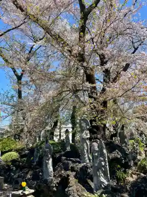 明治寺の{uncategorized: "未分類", other: "その他", undefined: "問題あり", building: "その他建物", grave: "お墓", sacred_gate: "鳥居", guardian: "狛犬", statue: "像", buddha: "仏像", history: "歴史", nature: "自然", garden: "庭園", animal: "動物", pagoda: "塔", temizu: "手水舎", mountain_gate: "山門・神門", sanctuary: "本殿・本堂", subordinate: "末社・摂社", art: "芸術", scenery: "景色", jizo: "地蔵", ema: "絵馬", goshuin: "御朱印", omikuji: "おみくじ", items: "授与品その他", amulet: "お守り", goshuincho: "御朱印帳", eats: "食事", festival: "お祭り", votive_dance: "神楽", shichigosan: "七五三参", wedding: "結婚式", experience: "体験その他", initially: "初詣", around: "周辺", anti_infection: "感染症対策"}