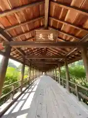 東福禅寺（東福寺）(京都府)