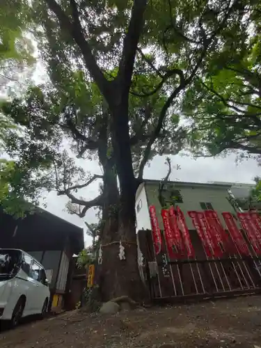 笠䅣稲荷神社の自然