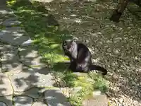 宝山寺奥之院(奈良県)