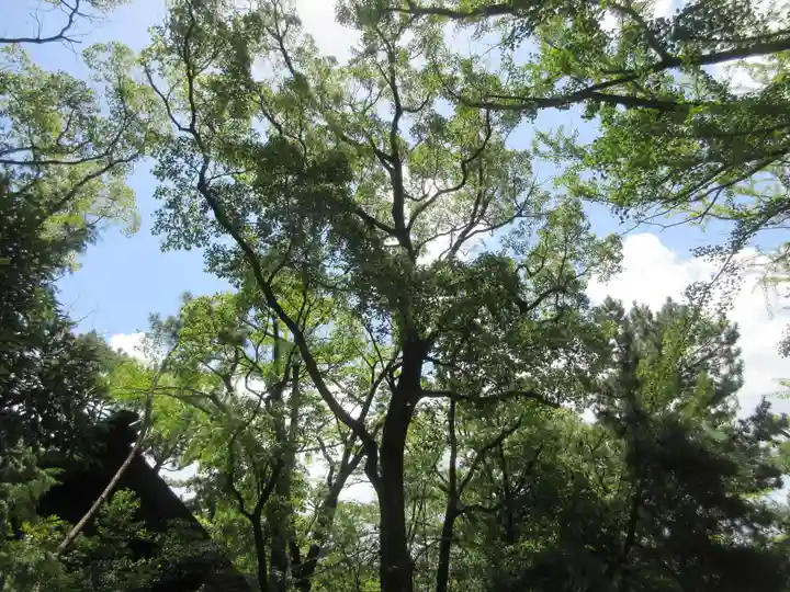 意富比神社の自然