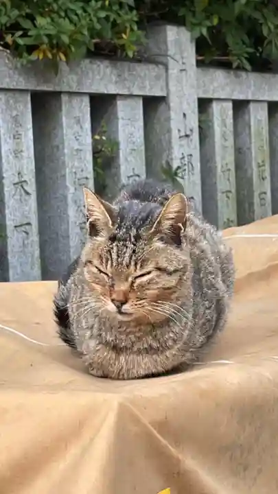 和泉國一之宮 大鳥大社の動物