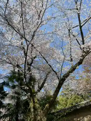 宝聚院(京都府)