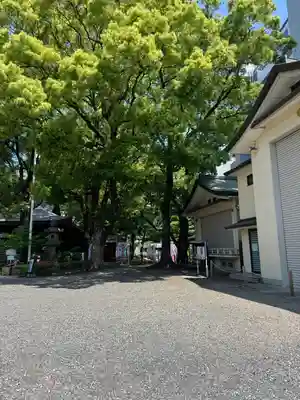若宮八幡社(愛知県)