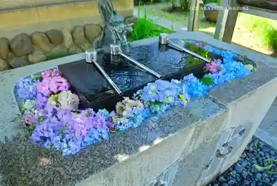 秩父札所十三番 慈眼寺(埼玉県)