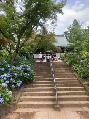 本土寺(千葉県)