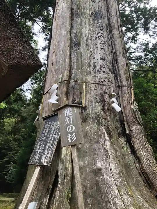 元伊勢内宮 皇大神社の自然
