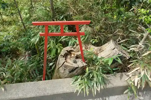 羽束師坐高御産日神社の鳥居