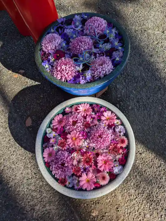 相模原氷川神社(神奈川県)