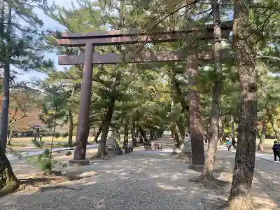 出雲大社(島根県)