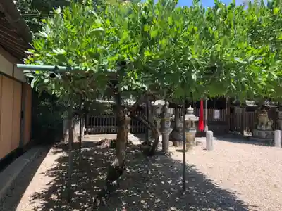 添御縣坐神社のその他建物