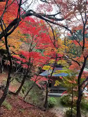 石道寺の{uncategorized: "未分類", other: "その他", undefined: "問題あり", building: "その他建物", grave: "お墓", sacred_gate: "鳥居", guardian: "狛犬", statue: "像", buddha: "仏像", history: "歴史", nature: "自然", garden: "庭園", animal: "動物", pagoda: "塔", temizu: "手水舎", mountain_gate: "山門・神門", sanctuary: "本殿・本堂", subordinate: "末社・摂社", art: "芸術", scenery: "景色", jizo: "地蔵", ema: "絵馬", goshuin: "御朱印", omikuji: "おみくじ", items: "授与品その他", amulet: "お守り", goshuincho: "御朱印帳", eats: "食事", festival: "お祭り", votive_dance: "神楽", shichigosan: "七五三参", wedding: "結婚式", experience: "体験その他", initially: "初詣", around: "周辺", anti_infection: "感染症対策"}