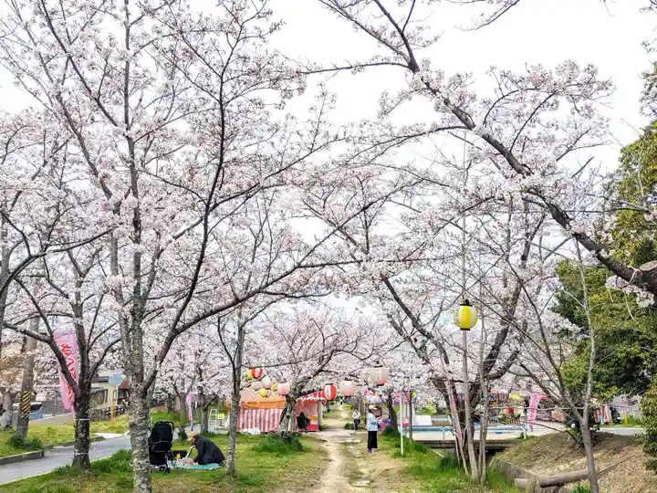 星田妙見宮の自然