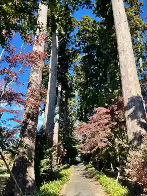 八幡宮(茨城県)
