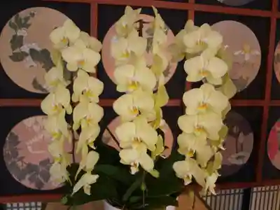 三毳不動尊の周辺