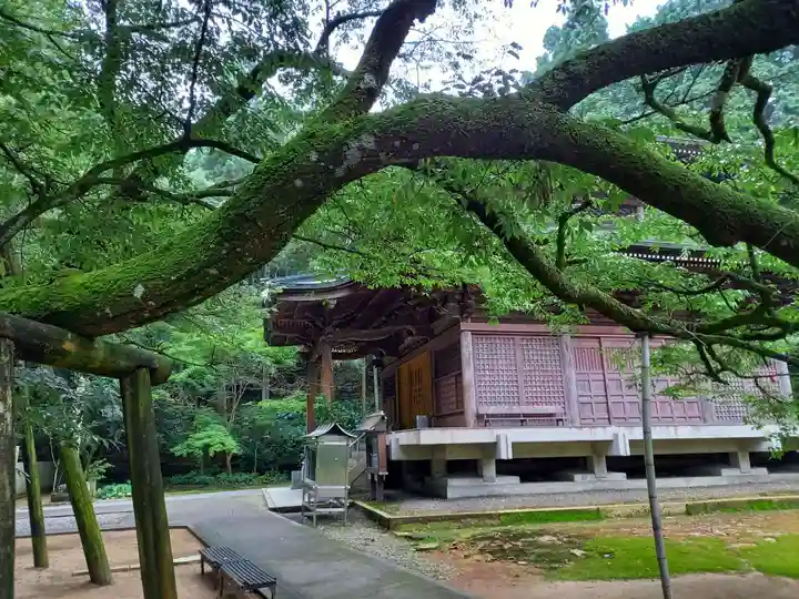 三角寺(愛媛県)