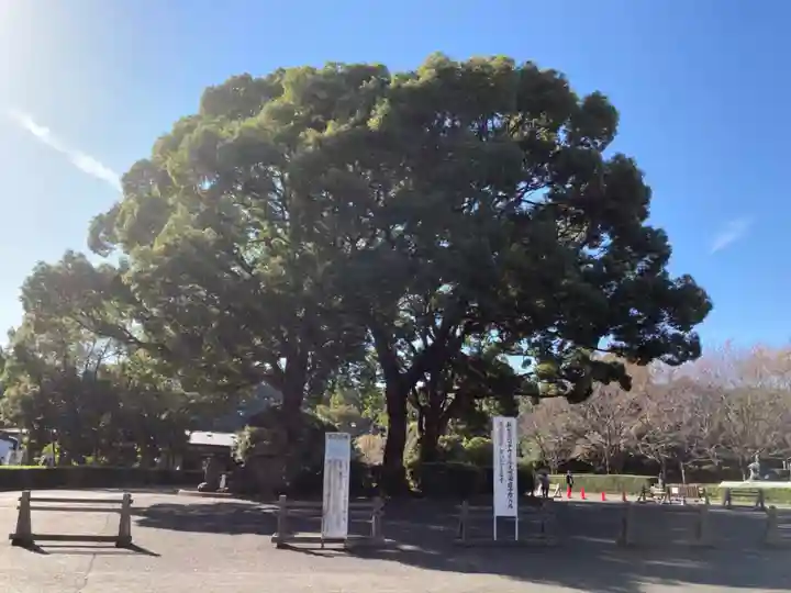 総持寺のその他建物