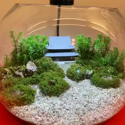 建仁寺(建仁禅寺)の体験その他