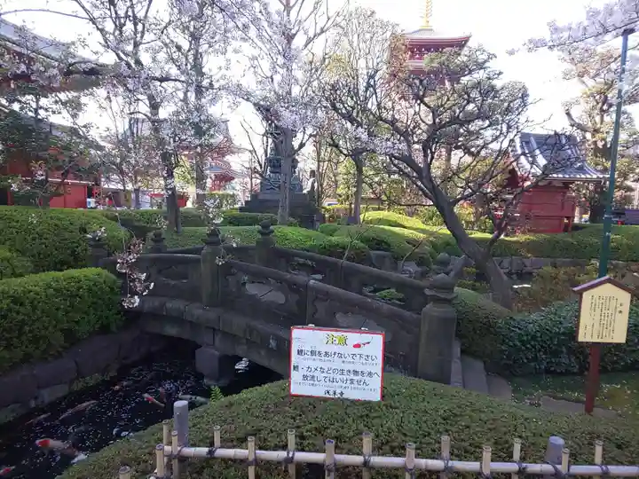 浅草寺の庭園