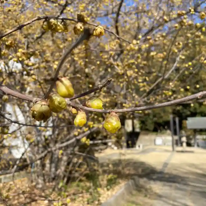 横浜 西方寺(神奈川県)