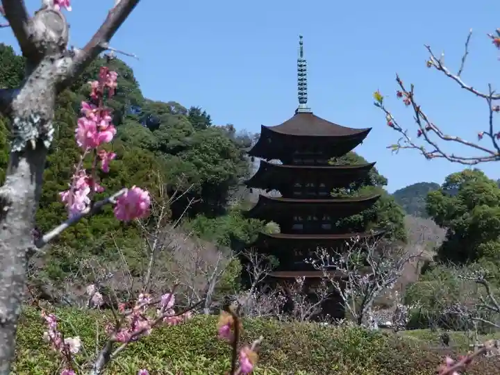 瑠璃光寺(山口県)