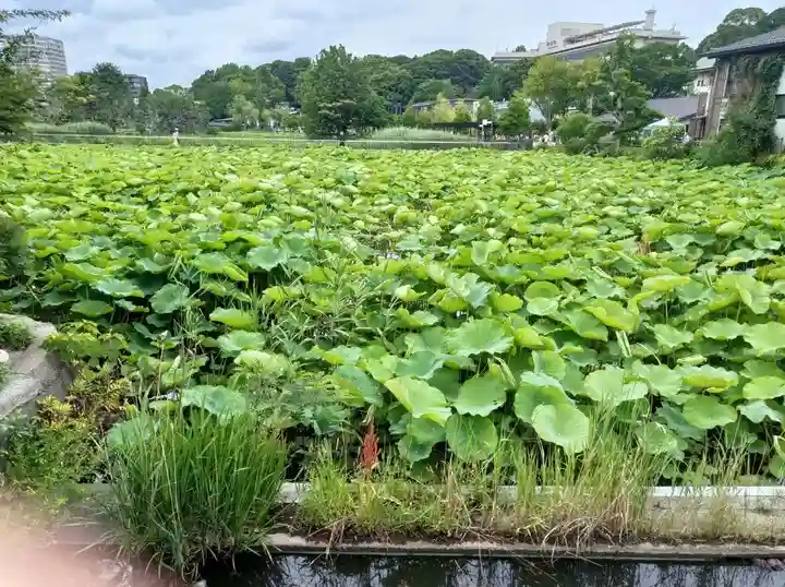 寛永寺不忍池弁天堂(東京都)