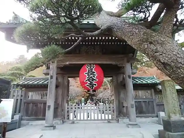 長谷寺の山門・神門