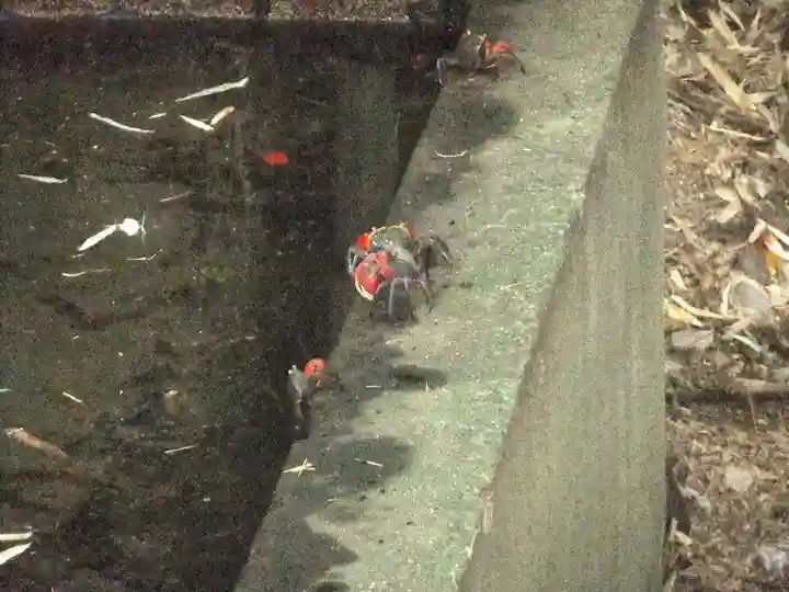古尾稲荷神社(山口県)