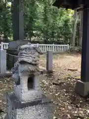 柳窪天神社（黒目川天神社）　の狛犬