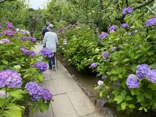 本光寺の庭園