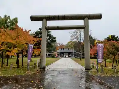 札幌護國神社の鳥居