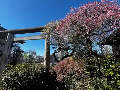 五條天神社(東京都)