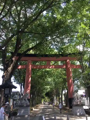 武蔵一宮氷川神社の鳥居