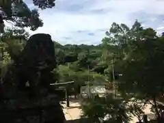 四阿屋神社の狛犬