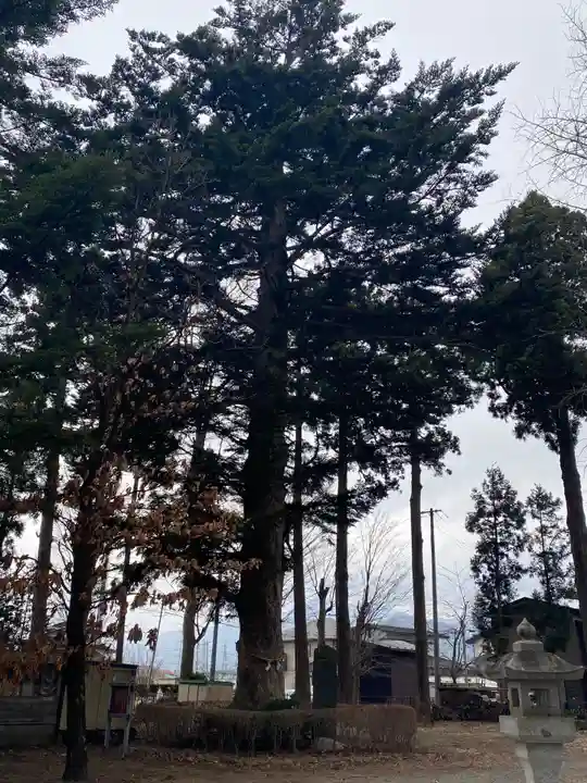 大宮神社の自然