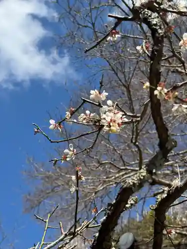 円覚寺(神奈川県)