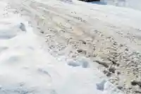 大森稲荷神社(北海道)